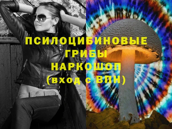 гашик Лабытнанги