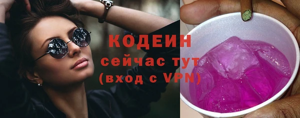гашик Лабытнанги